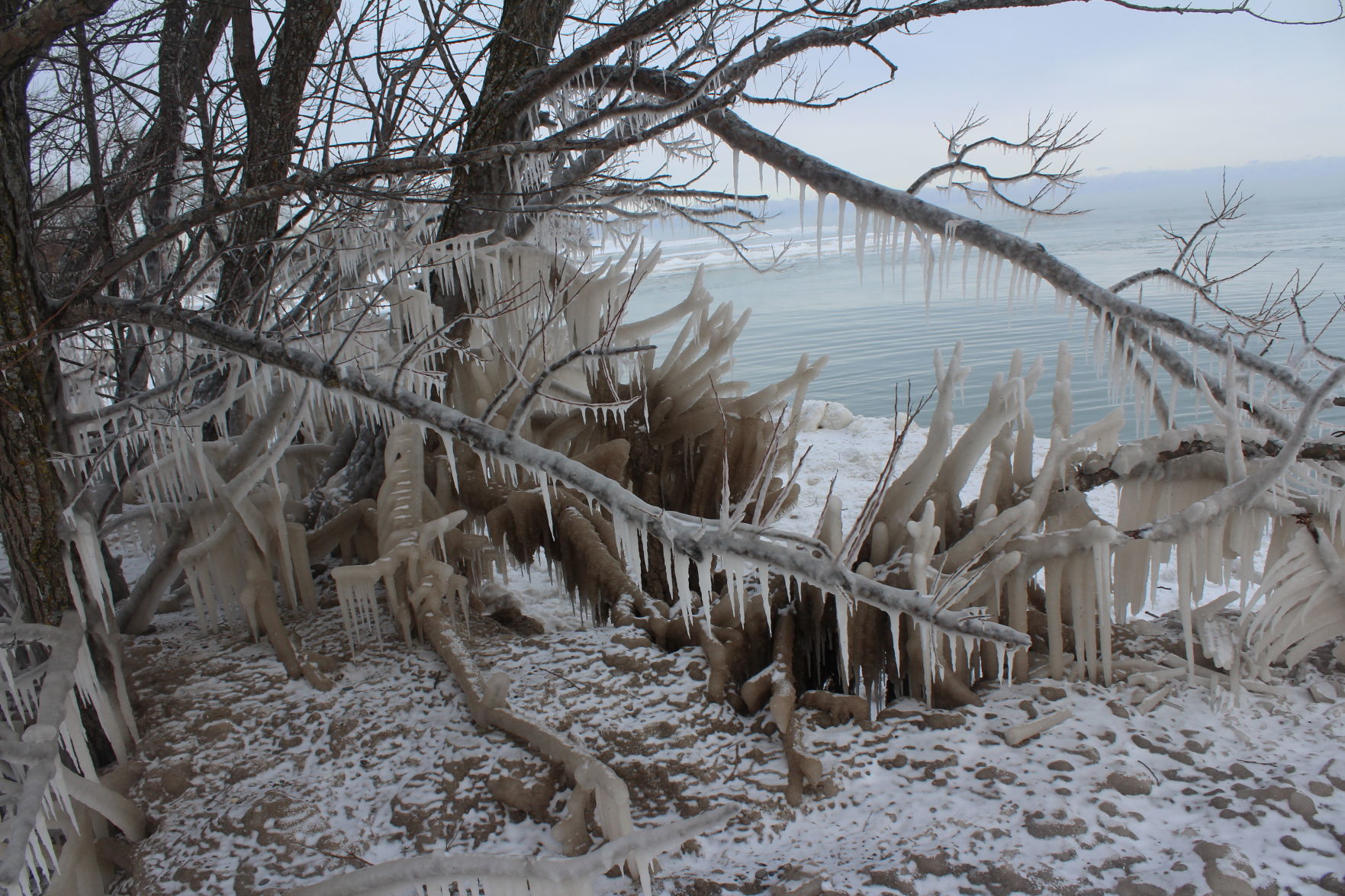 Icicles galore